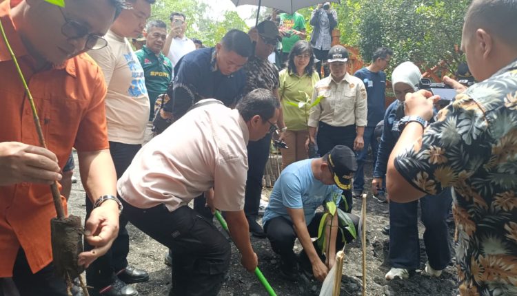 Kolaborasi Jaga Lingkungan, Hengky Honandar Ikut Aksi Penanaman Mangrove di Kawasan Wisata Batu Angus