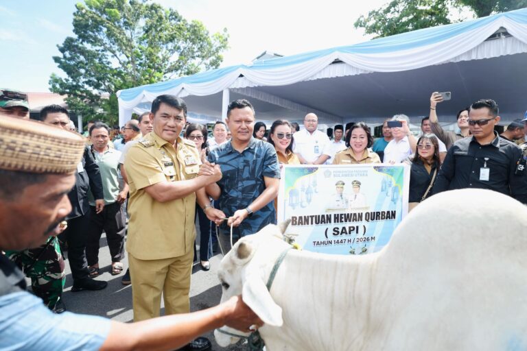 15 Kab/Kota se Sulut Kebagian 46 Sapi Kurban, Gubernur YSK: 16 Ekor Bantuan Pak Presiden Prabowo